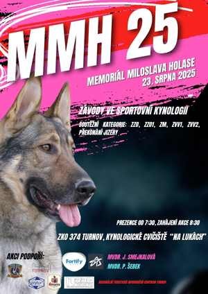MMH25